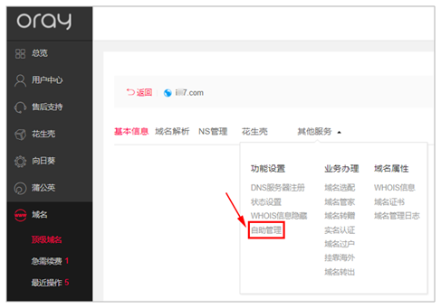 域名状态有哪些 公司注册域名流程详细步骤解读